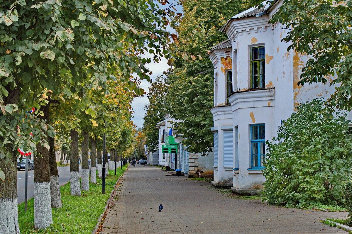 Картинку улица ленина. Старая Русса улицы города. Старая Русса город. Старая Русса памятник Ленину. Провинциальный городок.