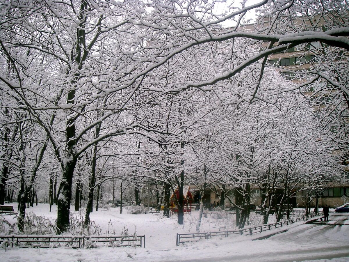 2 е зимой. Снегопад в городе. февраль в городе. снежный февраль в городе. двор зимой.