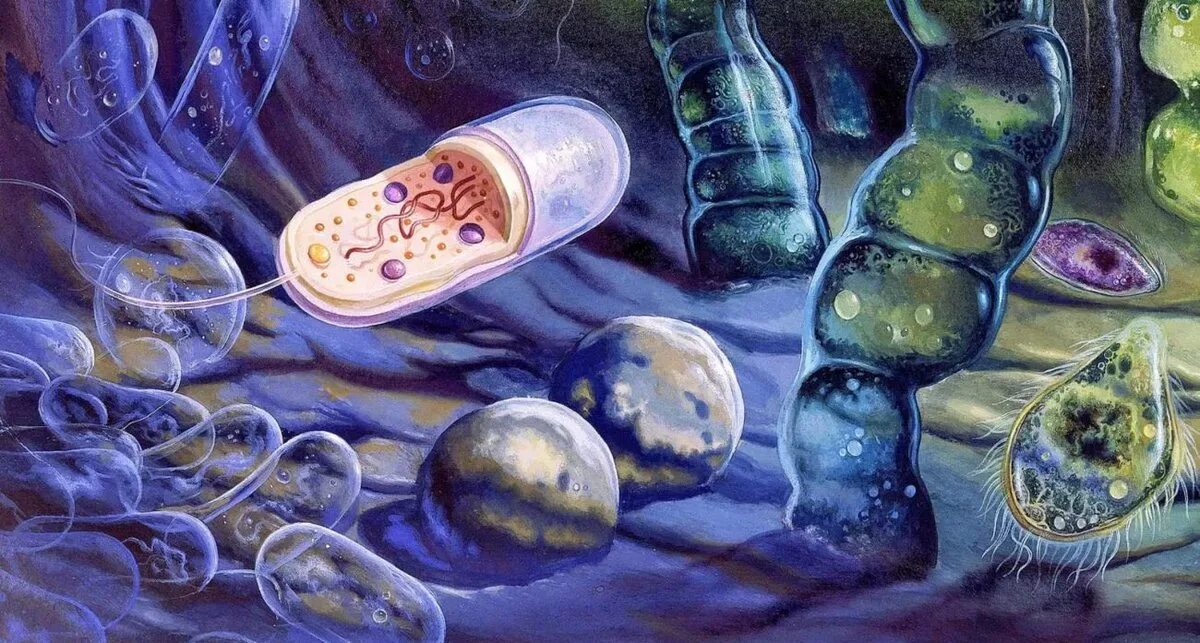 Тайна 5 планеты что с ними делать. Архейская Эра первые живые организмы. Бактерии протерозоя. Зарождение жизни. Зарождение жизни на земле.