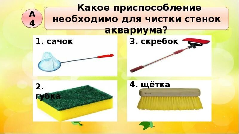 Предметы ухода за животными 1 класс окружающий. Предметы для ухода живого уголка. предметы для ухода за животными живого уголка 1. уход за животными живого уголка. предметы для ухаживания за животными живого уголка.