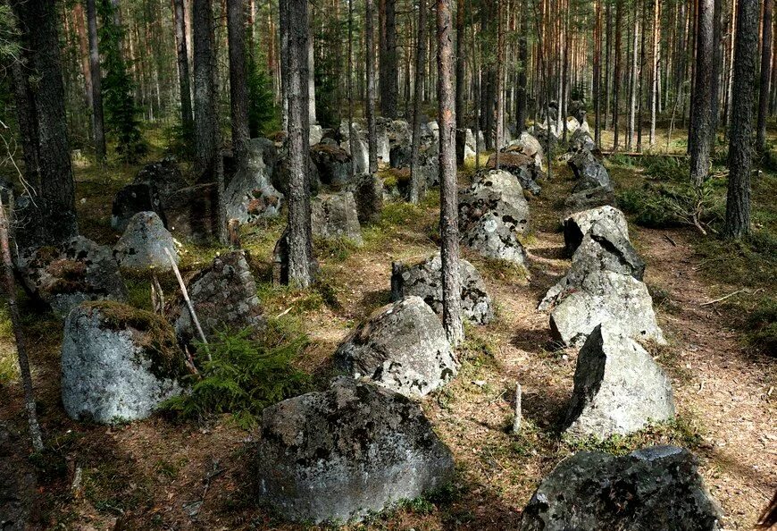 Противотанковые надолбы линии Маннергейма. Линия Маннергейма Выборг. Карельский перешеек линия Маннергейма. Финляндия линия Маннергейма.