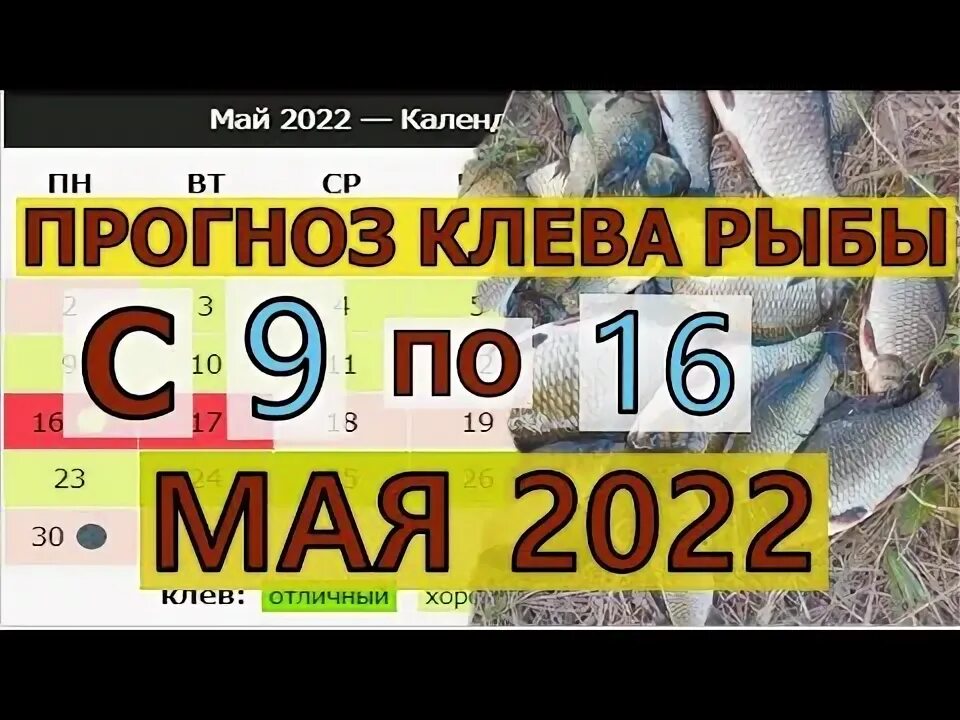 Пин от пользователя Алексей Шурыгин на доске Fishing Рыбалка, Самодельные рыболо