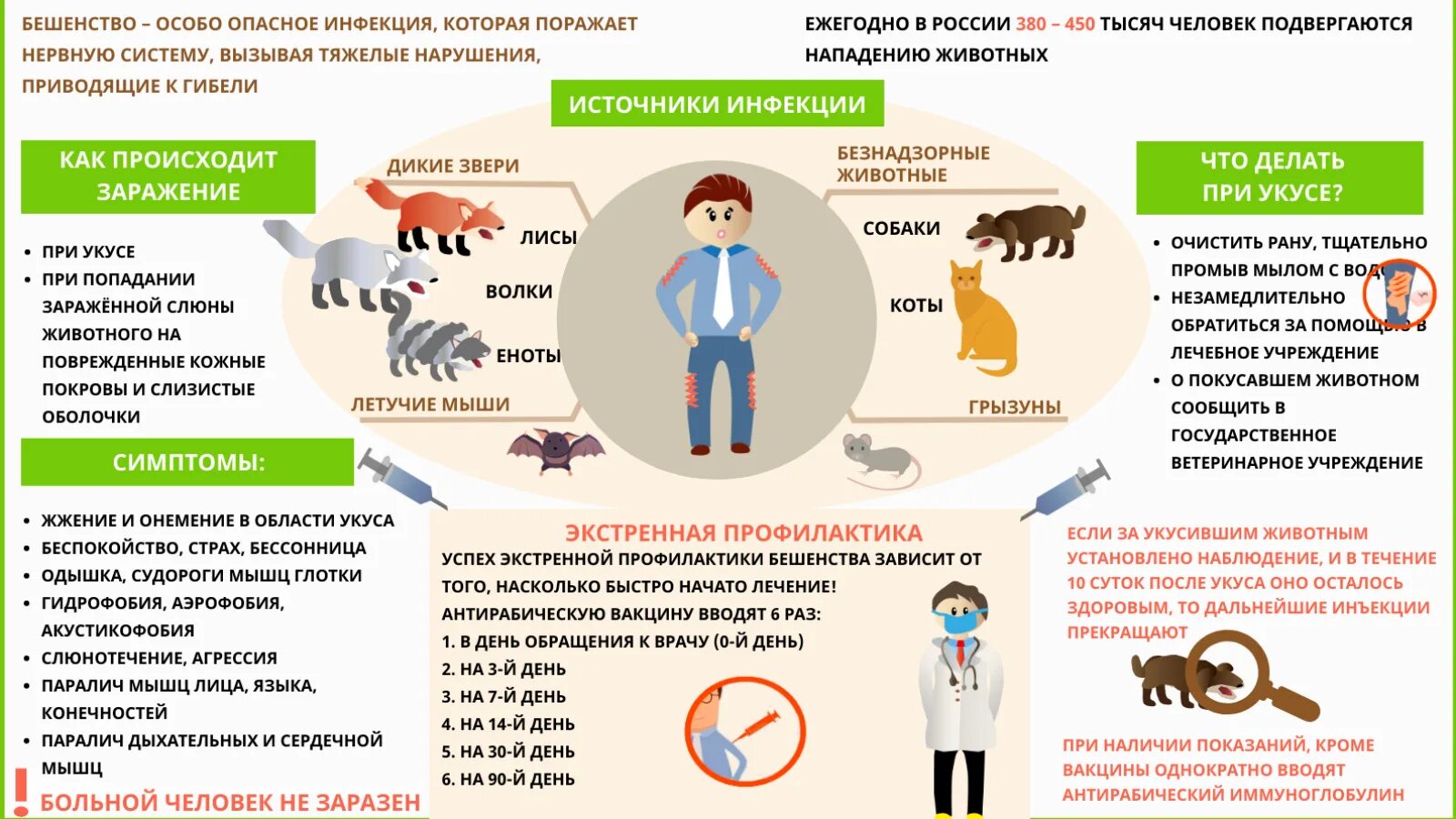 Профилактика бешенства. Бешенство памятка для населения. Профилактика бешенства памятка. Профилактика бешенства у людей.