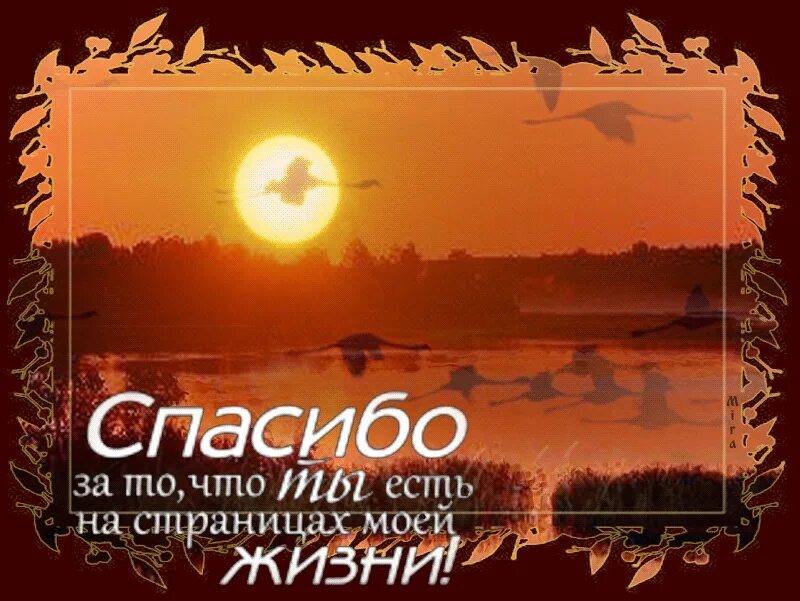 Открытка спасибо за вечер. Спасибо за то что ты есть в моей жизни. спастбоза то что ты есть.. сапсиб оза то что ты есть. спасибо за тго что т ыесть.