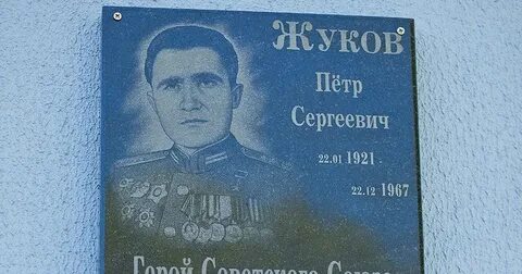 Союз жуковых