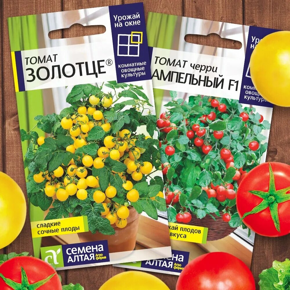 Комнатные томаты - hdmulty.ru