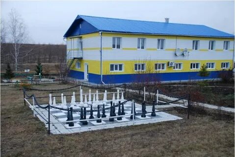 Отдыха подсолнухи омск