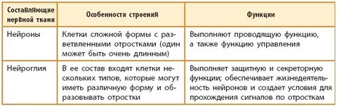 Функции тканей и их характеристики