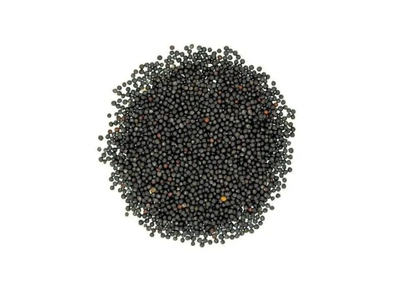 Круглые семена приправа. Кориандр. Круглые семечки. Черные круглые семена. Маленькие черные семена.