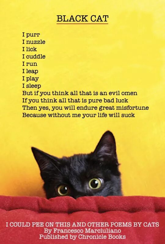 I m a cat