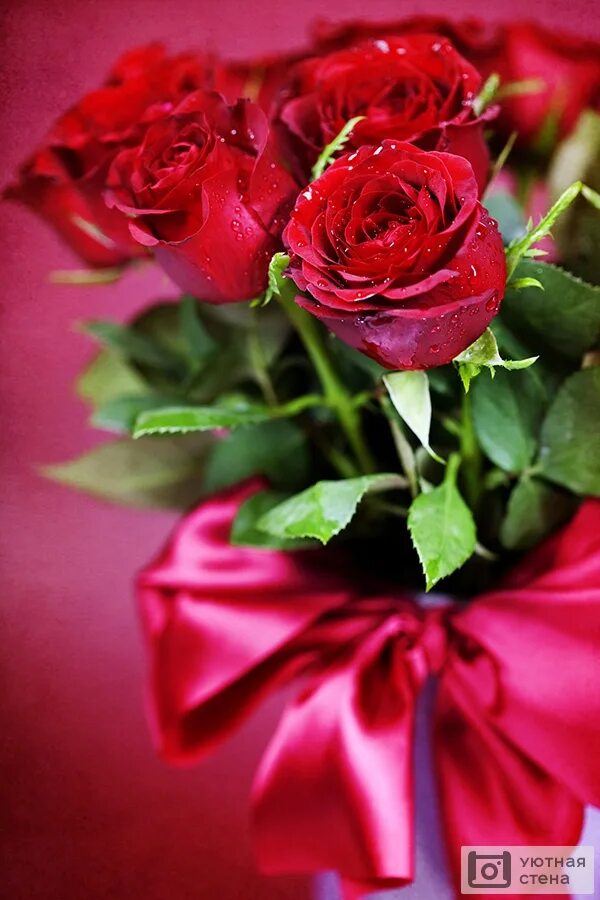 Роскошные цветы. Красивые розы. Красивый букет роз.