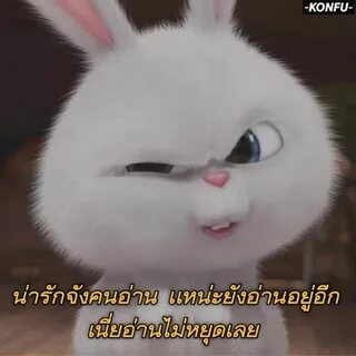 Злая зая песня