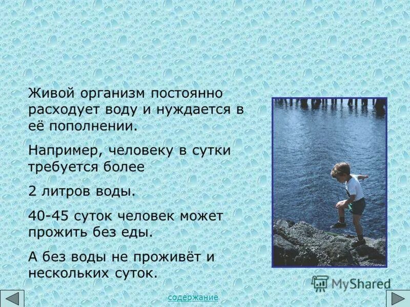 Без воды человек может прожить. Человек не может прожить без воды. Сколько человек может прожить без воды. Сколько человек проживет без воды. Человек прожил без пищи