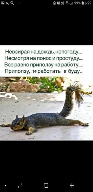 Невзирая на день. Невзирая на дождь непогоду несмотря. Невзирая на дождь непогоду несмотря на понос. Невзирая на понос и простуду. Несмотря на понос и простуду все равно приползу на работу.