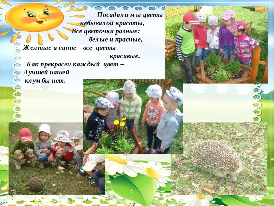 Стих посадили. Стихи о посадке цветов. стихотворение про посадку растений. стих про посадку растений для детей. стихи про посадку цветов в детском саду.