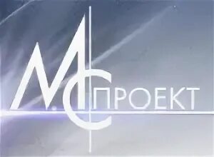 Организация мс