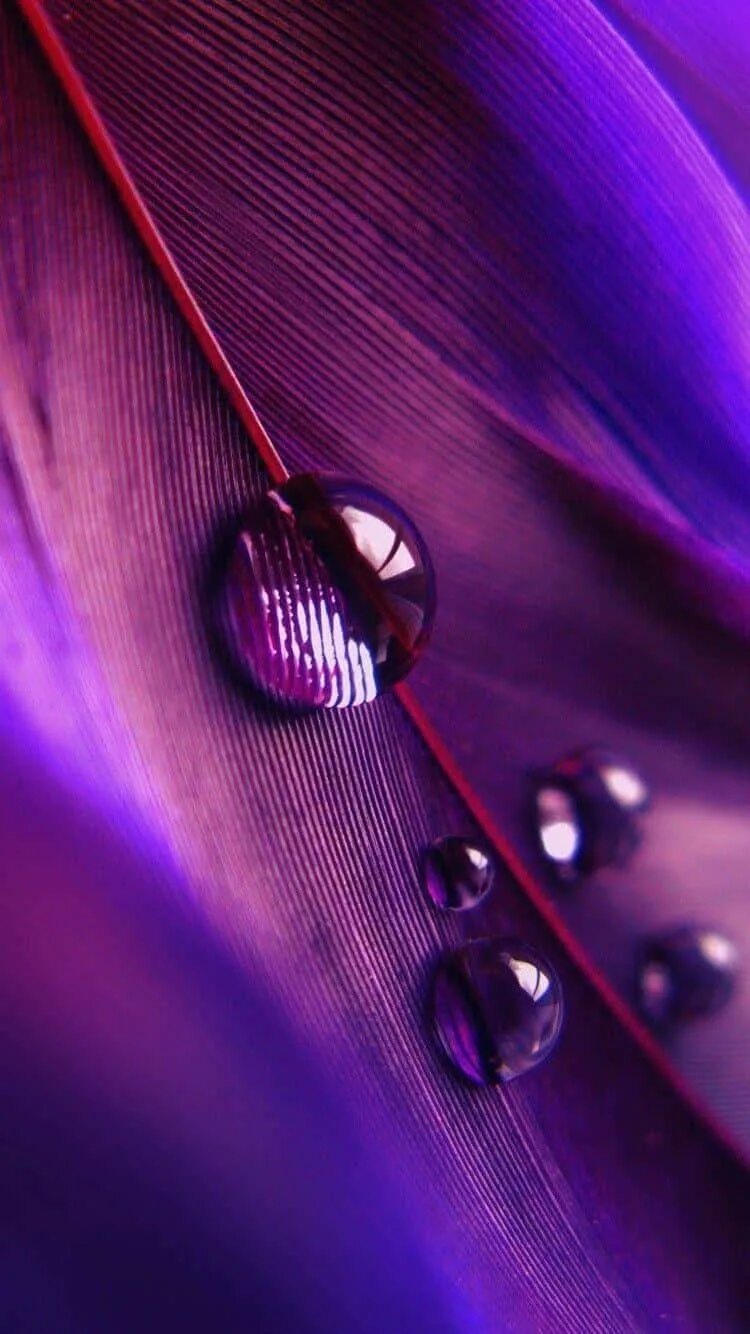 Лиловый телефон. Лиловый телефон. Сиреневые обои на телефон. Фиолетовые капли. Лиловый телефон.