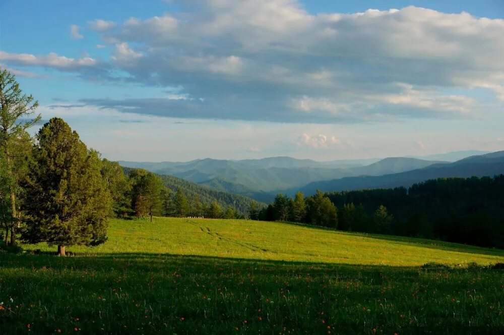 эко поселок седьмое небо. экопосёлок седьмое небо на алтае. 7 небо алтай. поселок седьмое небо алтай. коттеджный поселок седьмое небо горный алтай.