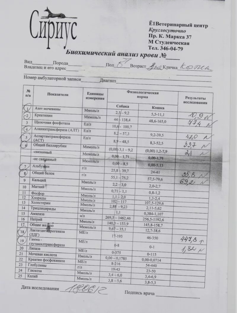 Как обозначается мочевая кислота в анализе. Мочевая кислота анализ биохимия. мочевая кислота в биохимическом анализе. биохимия крови мочевая кислота. мочевая кислота в биохимическом анализе крови.