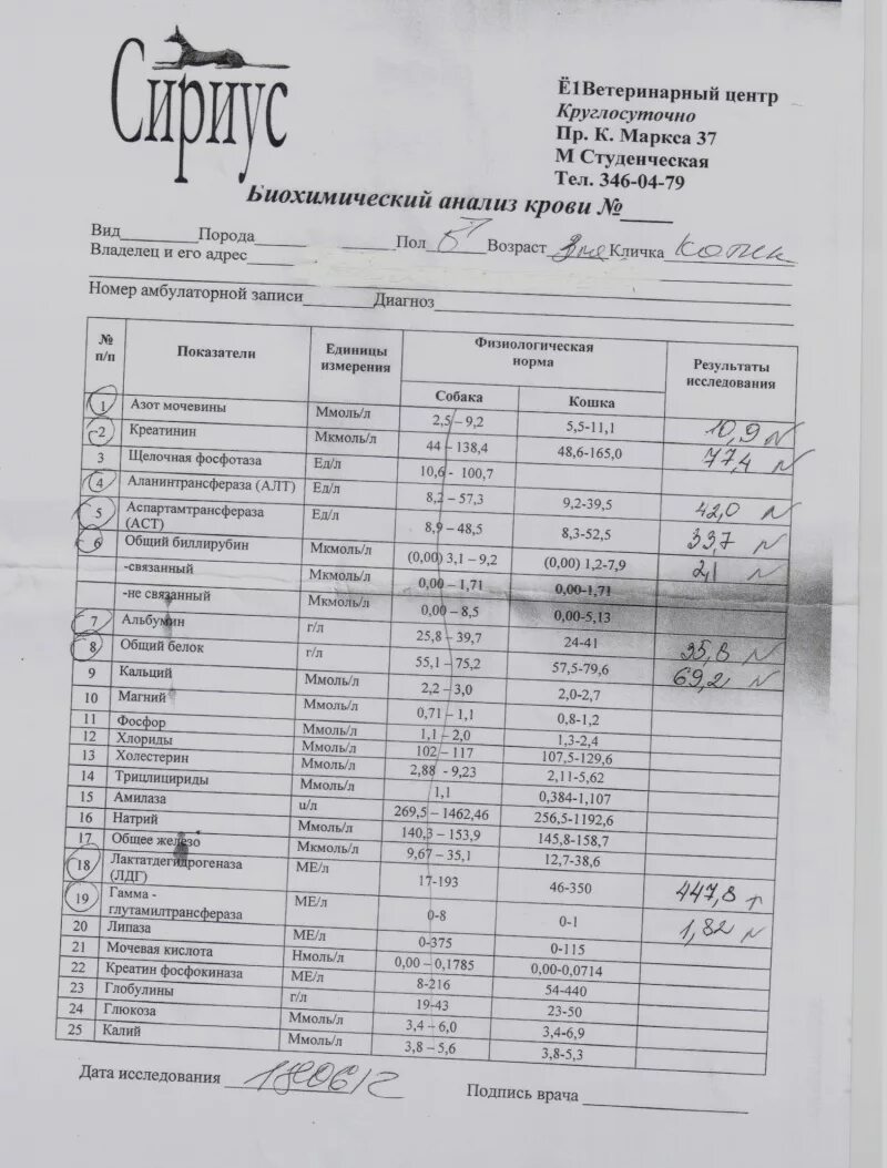 Анализ на мочевую кислоту биохимия. Мочевая кислота в биохимическом анализе. Норма мочевой кислоты в биохимическом анализе. Мочевая кислота в биохимическом анализе крови.