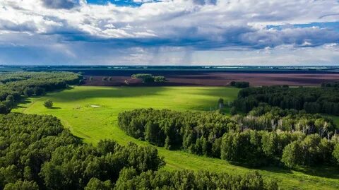 Местность какая 1 класс