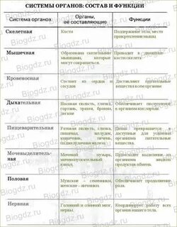 Строение и функции систем органов человека таблица