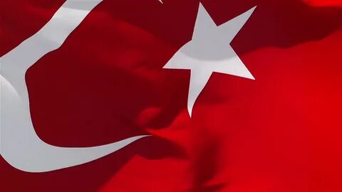 Turk org