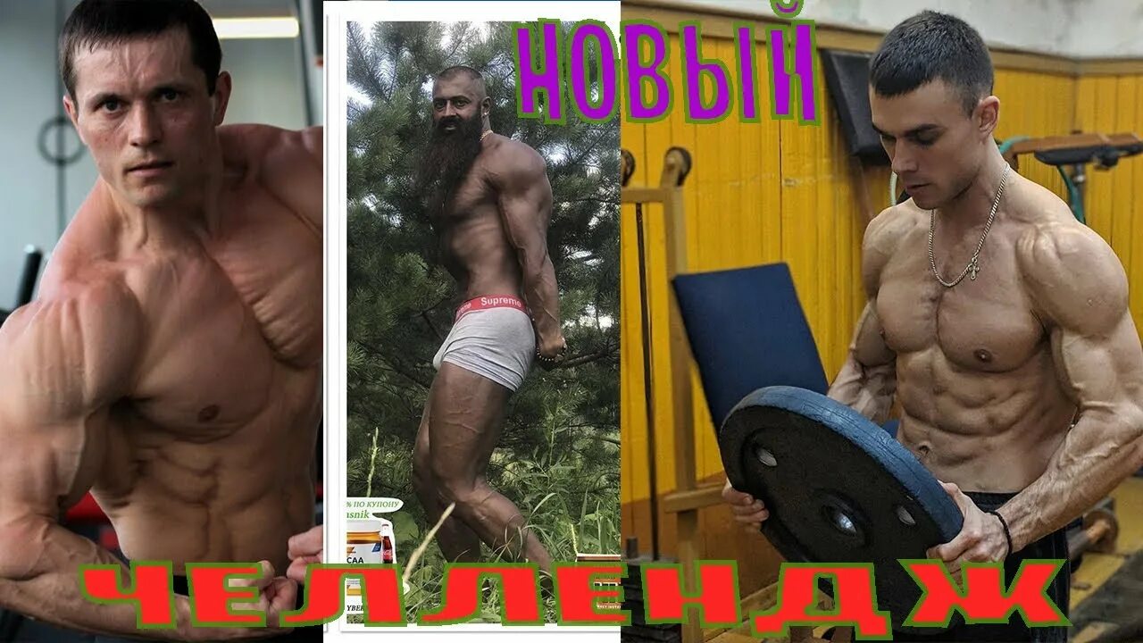 Программа лось. Лось блоггер.