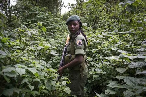 Forest ranger