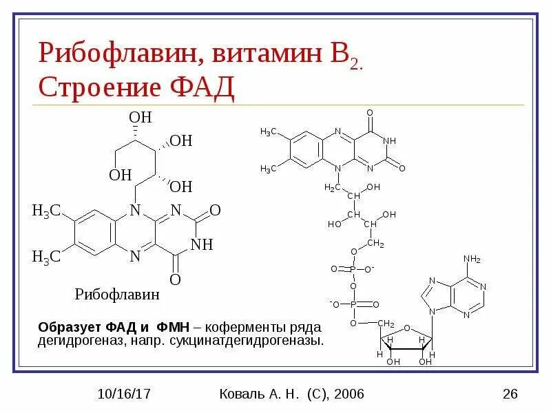 Соединение входящее в структуру фад. Соединение входящее в структуру фад