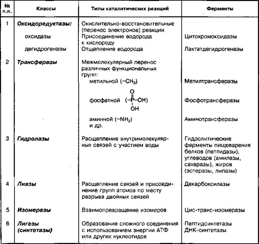 Функции ферментов таблица. Ферменты биологические катализаторы 10 класс. Классификация ферментов с примерами. Классификация ферментов с примерами реакций. Классификация ферментов катализаторов.