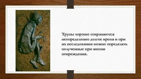 Хорошо сохранился