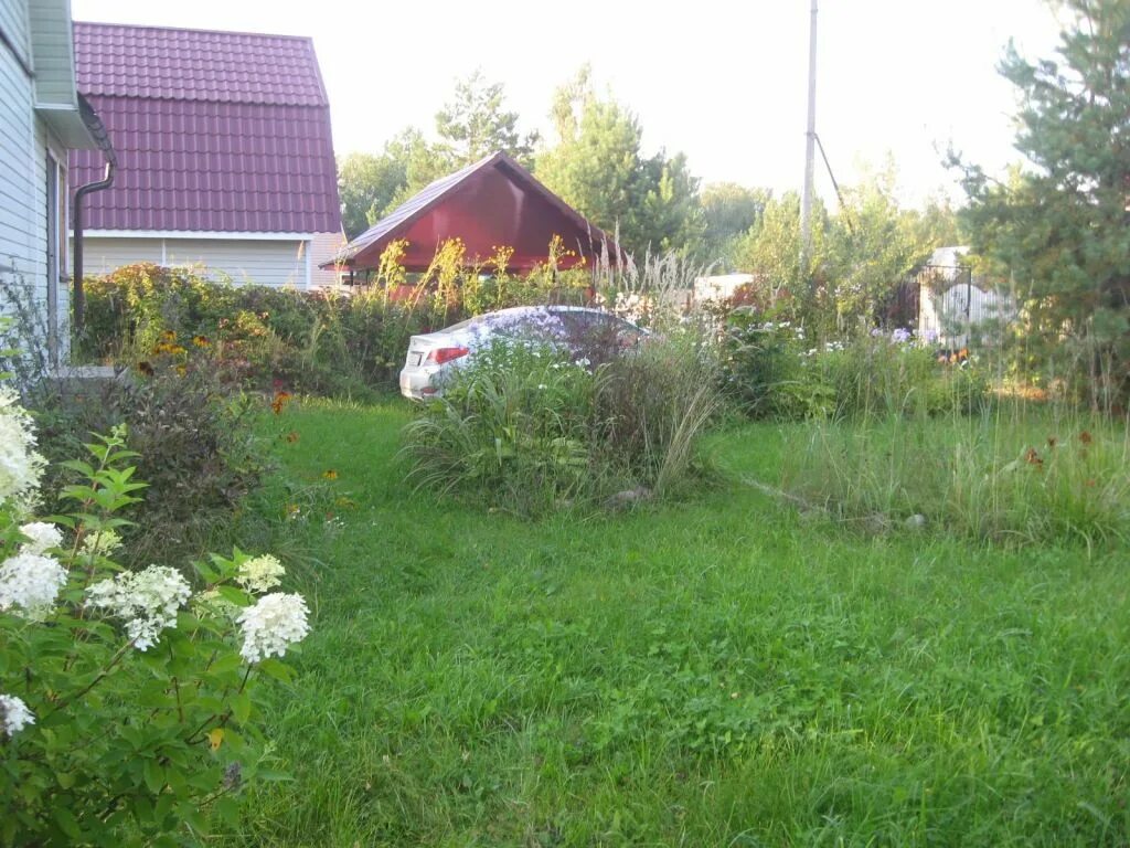 Снт родничок красноярск. Снт лужки. Участок снт лужки. Участок снт лужки. Участок снт лужки.