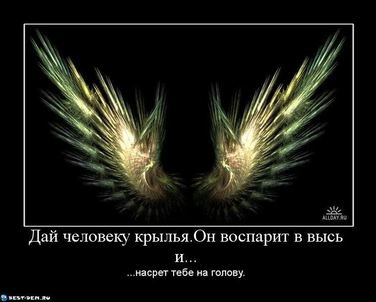 Цитаты про Крылья. Крылья прикол. Фразы про Крылья. Шутки про Крылья. Музыка дает крылья