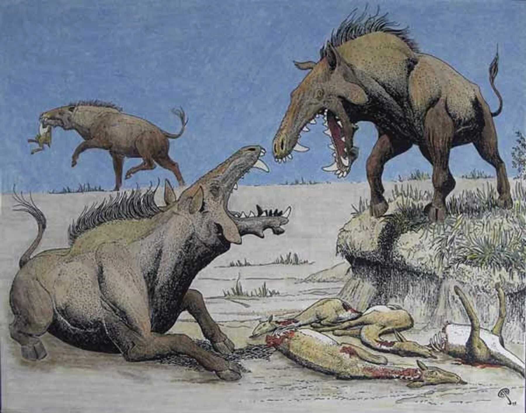 Grice extinct pig
