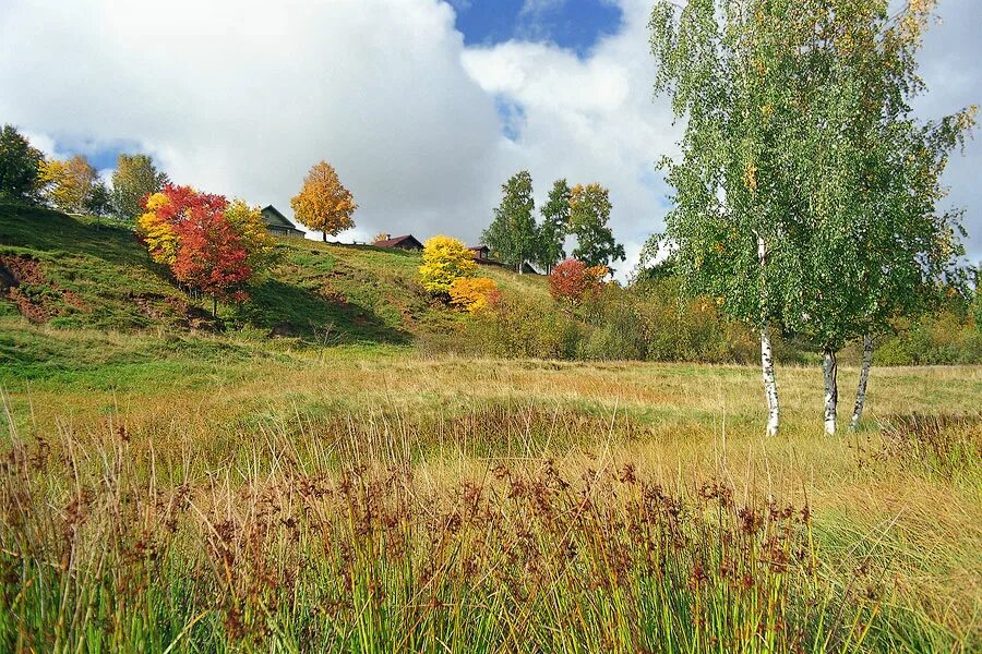 Родной край выборы. Природа родного края. Красота родной земли. Красота природы родного края. Природа родной земли.