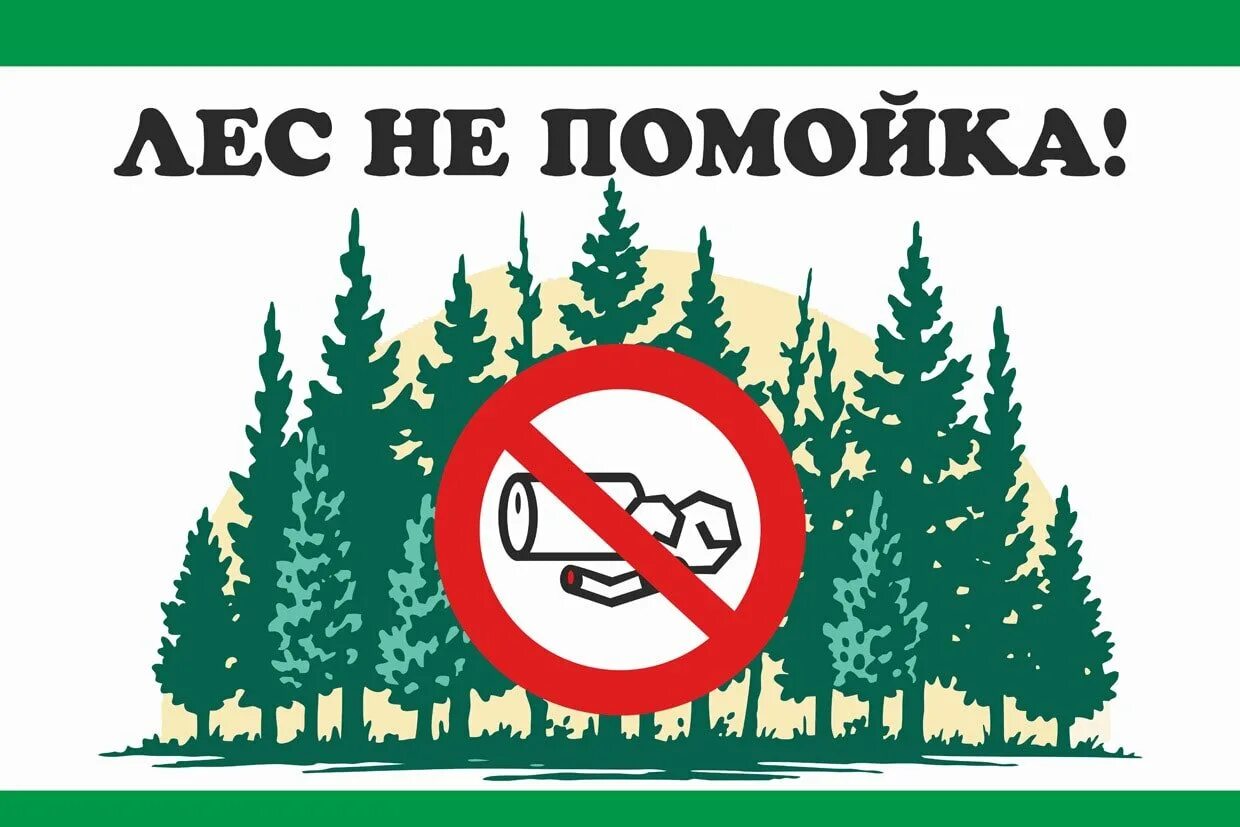 Берегите природу леса. Табличка не мусорить в лесу. табличка берегите лес. плакат береги лес. не мусори в лесу.