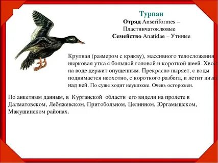 Книга курганская область