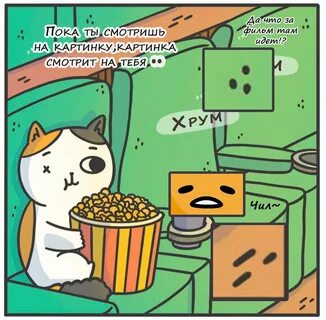 Коте исследования