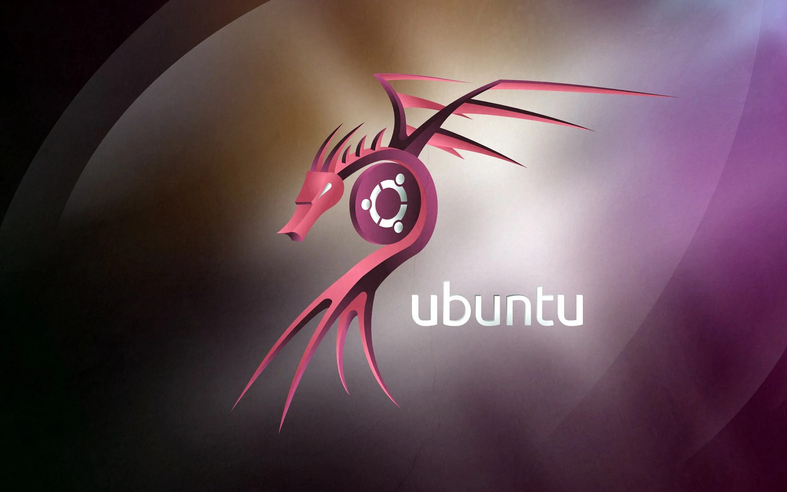 Msi ubuntu