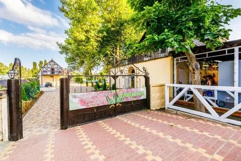 Тюльпан витязево