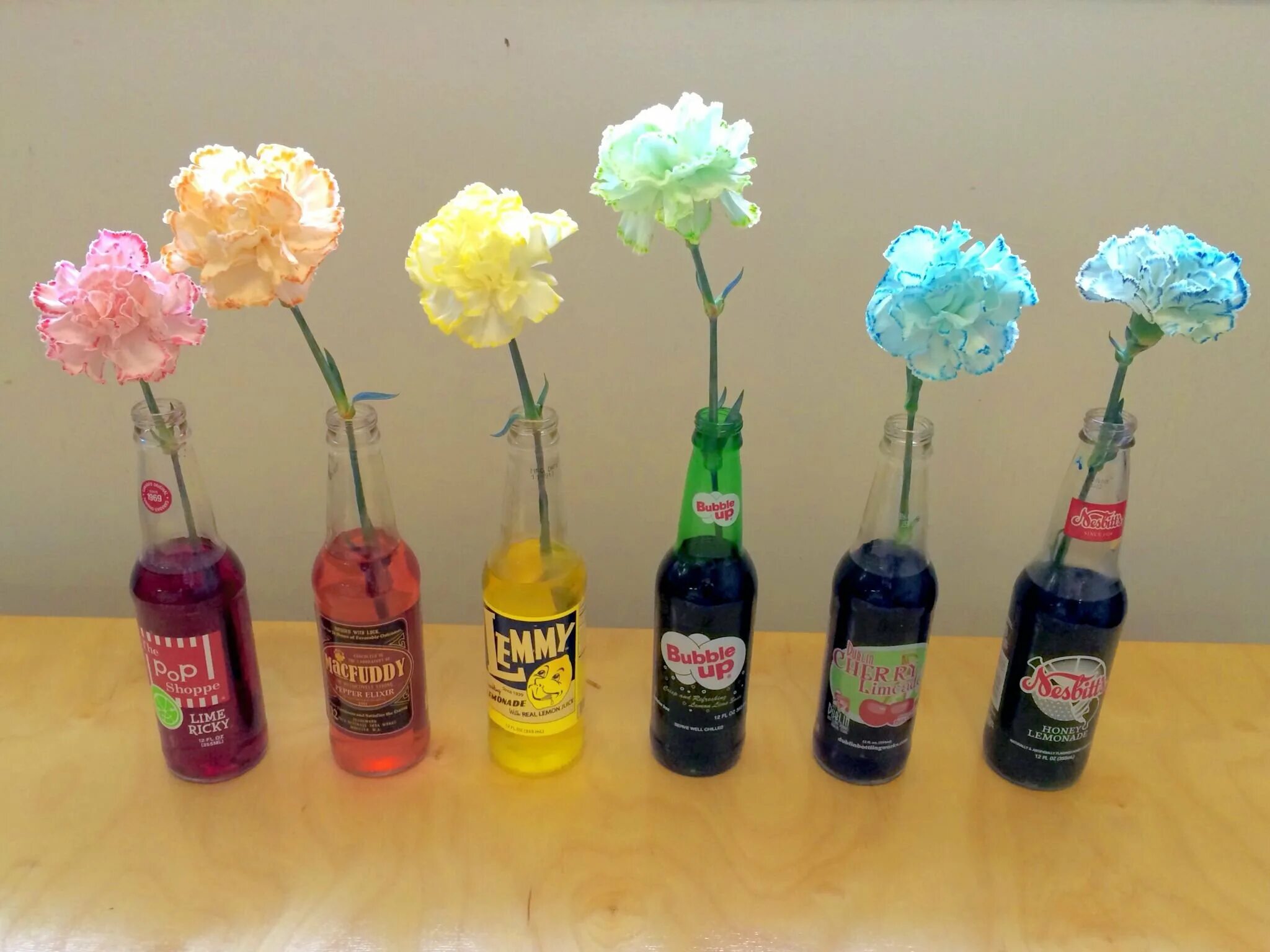 какими красками красят поделки. шишки покрашенные баллончиком. шишка крашенная. поделки с акриловыми красками. цветные шишки для декора.