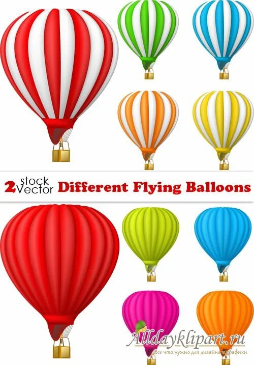Different fly