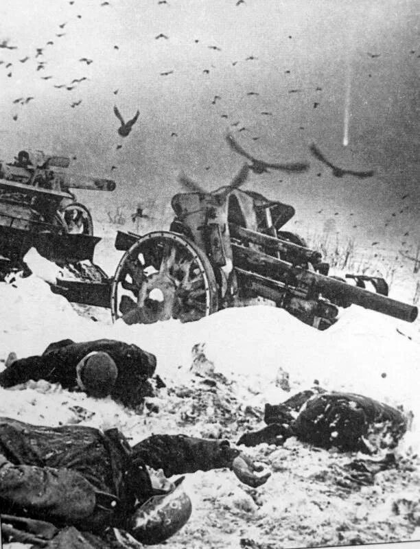 После поражения в войне с германией. Битва под Москвой 1941. Немцы под Москвой 1941.