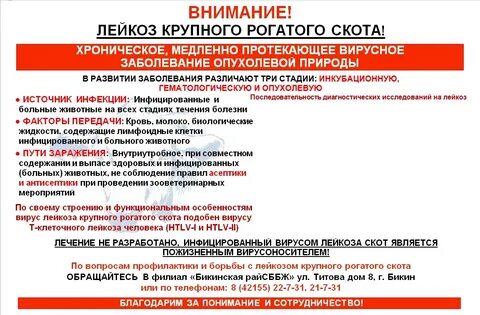 Борьба с лейкемией