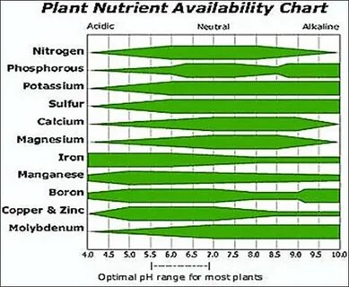 Plants nutrition