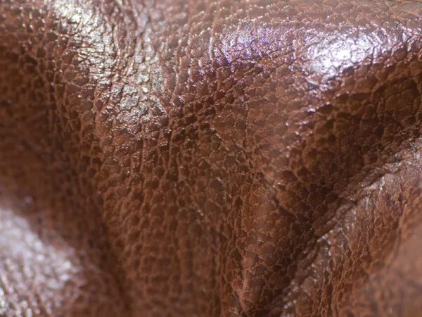 Замша саламандра. Замша саламандра. Замша саламандра арбен. Ламитекс саламандра. Димир диван сенатор.