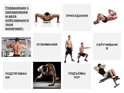 Силовые качества развивает упражнение