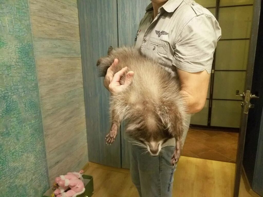 Смешно притворился