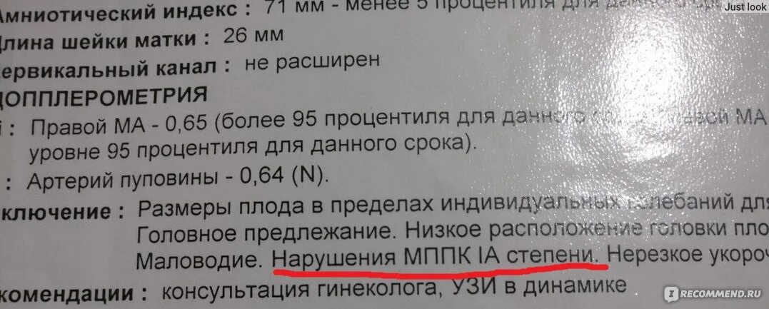 Нарушение мпк 1а степени. Нарушение мпк 1а степени при беременности что это. нарушение мппк при беременности что это такое. маточно-плацентарный кровоток 1а степени. мппк при беременности нормы.